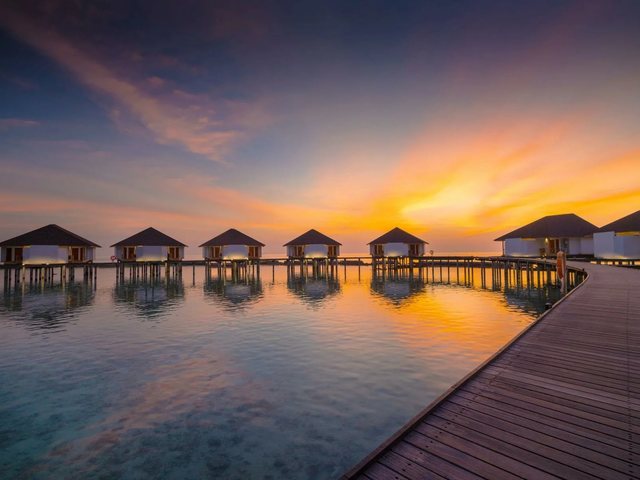 фотографии отеля Ellaidhoo Maldives by Cinnamon (ex. Chaaya Reef Ellaidhoo) изображение №11