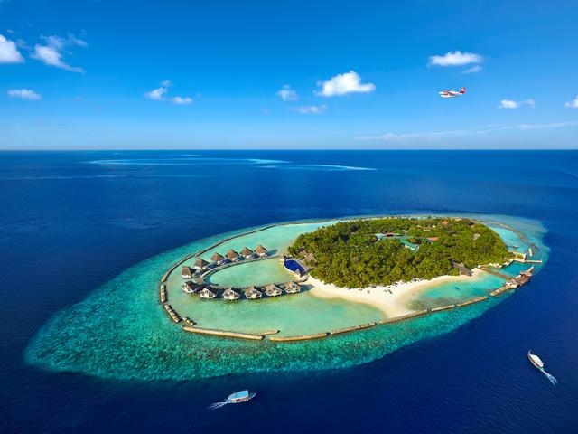 фотографии отеля Ellaidhoo Maldives by Cinnamon (ex. Chaaya Reef Ellaidhoo) изображение №7