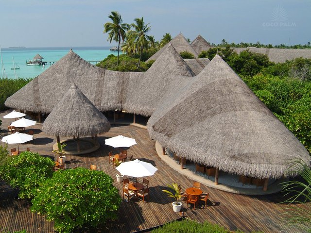 фотографии отеля Coco Palm Dhuni Kolhu изображение №79