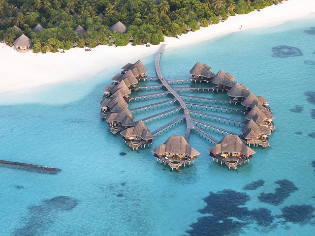 фотографии Coco Palm Dhuni Kolhu изображение №64