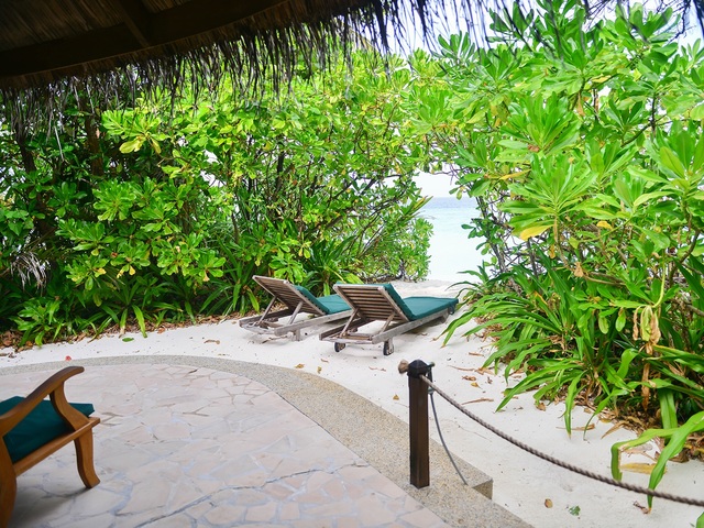 фотографии Coco Palm Dhuni Kolhu изображение №52