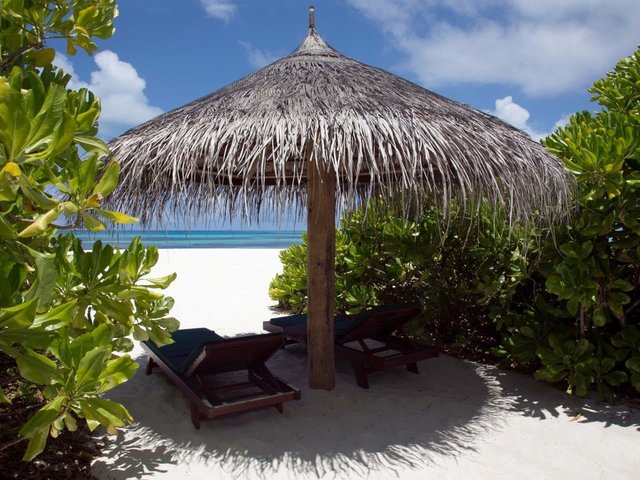 фотографии отеля Coco Palm Dhuni Kolhu изображение №11