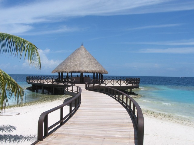 фото отеля Bandos Maldives (ex. Bandos Island Resort & Spa) изображение №33