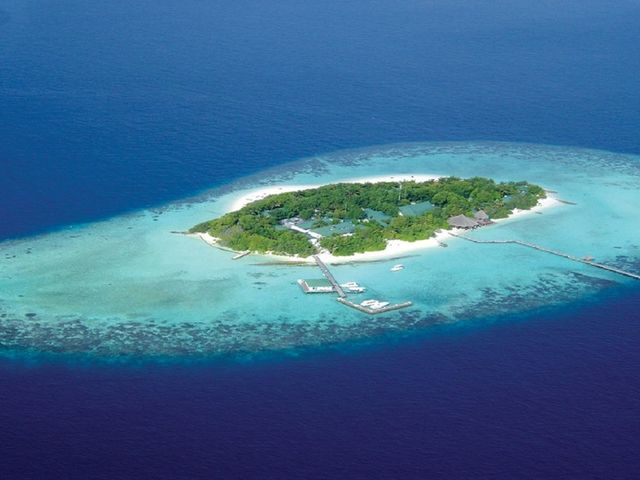 фотографии отеля Eriyadu Island Resort & Spa изображение №3