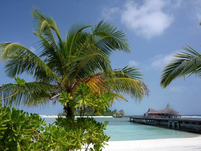 фото Anantara Veli Maldives (ex.Anantara Huraa) изображение №2