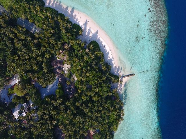 фото Biyadhoo Island Resort изображение №6