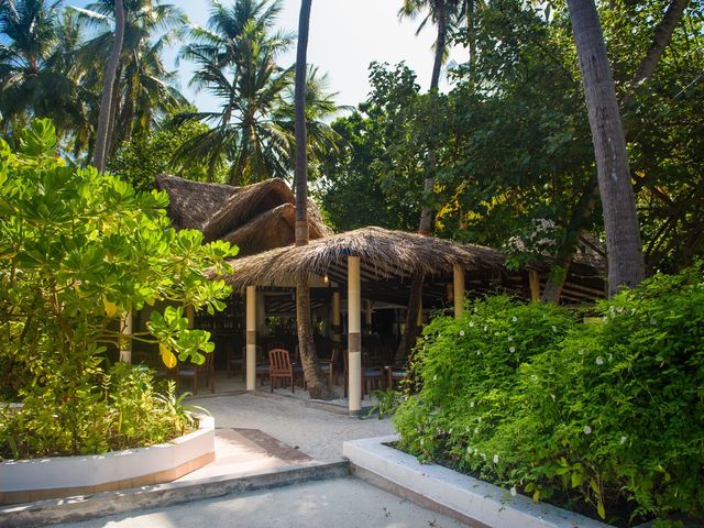 фото отеля Biyadhoo Island Resort изображение №5