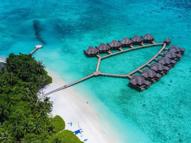 фотографии отеля Fihalhohi Island Resort изображение №19