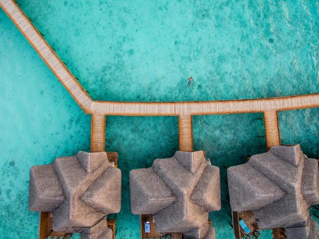 фото отеля Fihalhohi Island Resort изображение №5