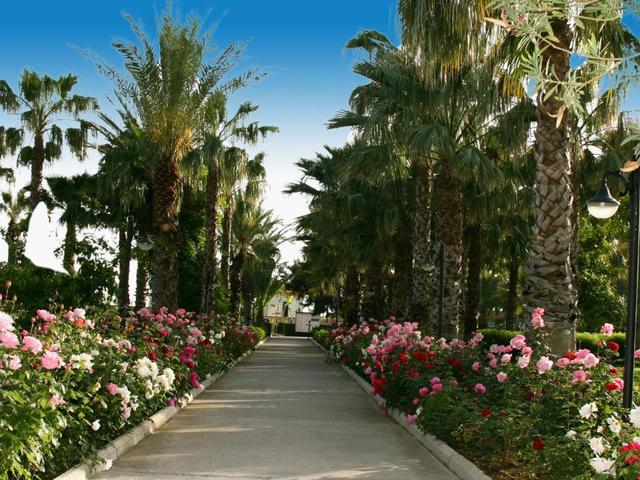 фото отеля Adora Hotel & Resort (ex. Adora Golf Resort; Adora Resort) изображение №33