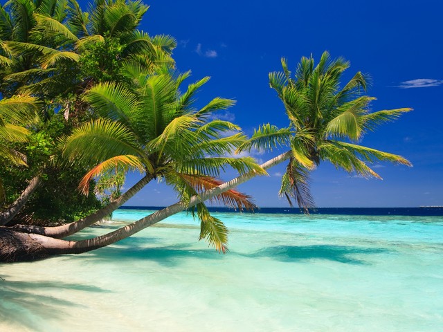 фото отеля Ungoofaar Inn изображение №5