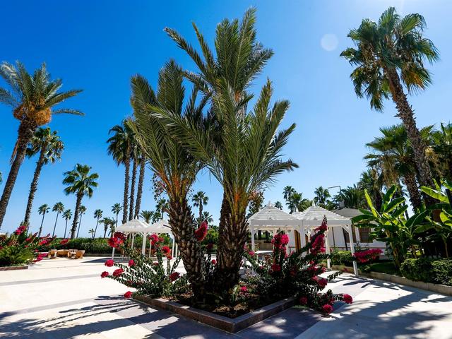фотографии отеля Adora Hotel & Resort (ex. Adora Golf Resort; Adora Resort) изображение №27