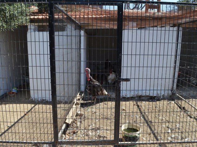 фотографии отеля Zeytin Apart Otel & Aquapark изображение №27