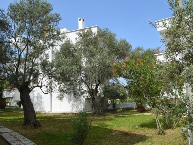 фото Zeytin Apart Otel & Aquapark изображение №22