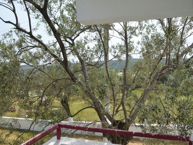 фотографии отеля Zeytin Apart Otel & Aquapark изображение №7