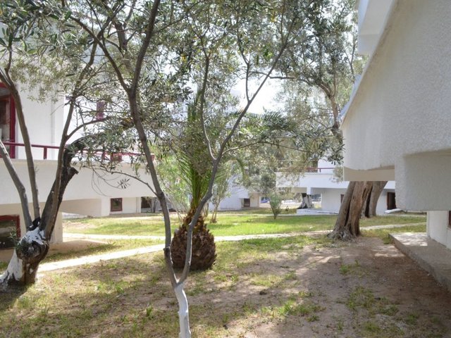 фото Zeytin Apart Otel & Aquapark изображение №2