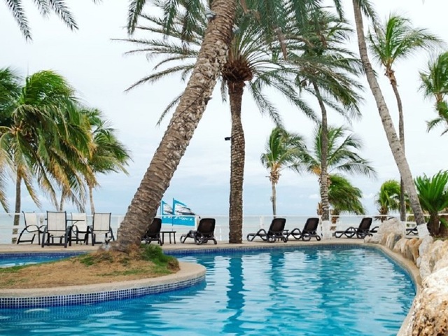 фото Paradise Surf изображение №18