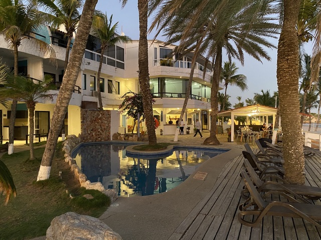 фотографии Paradise Surf изображение №12