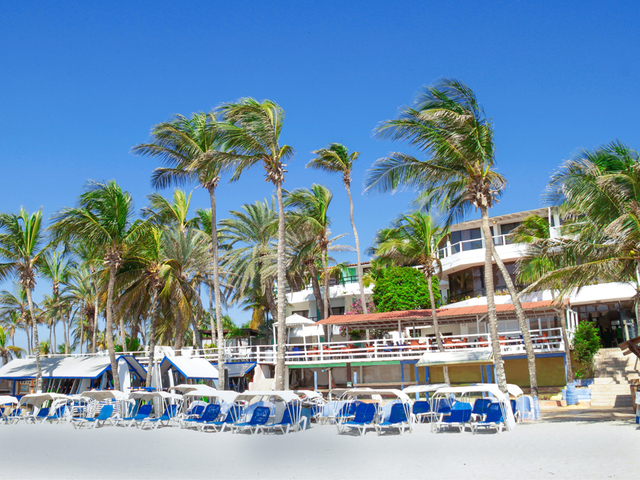 фотографии Paradise Surf изображение №4