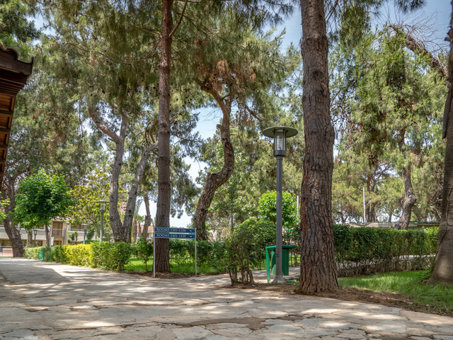 фотографии отеля Master Family Club (ex. Aska Costa Holiday Club; Riva Costa) изображение №31