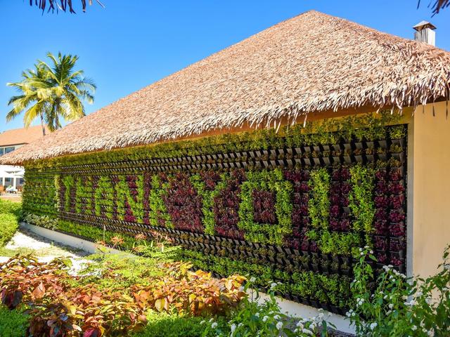 фото Reethi Faru Resort изображение №30