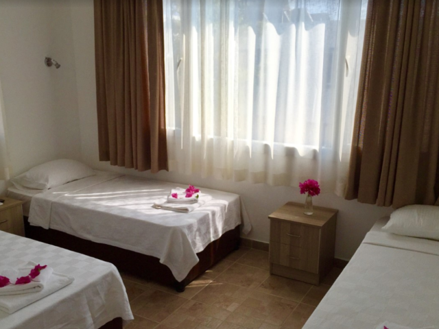 фото Agan изображение №2