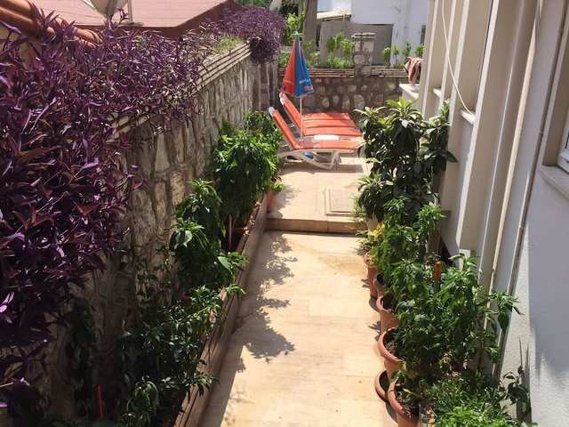 фотографии отеля Villa Dream изображение №11