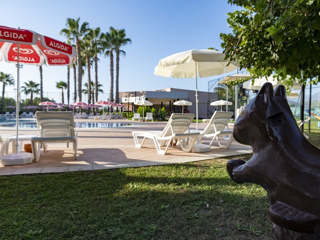 фото отеля Viking Park изображение №45