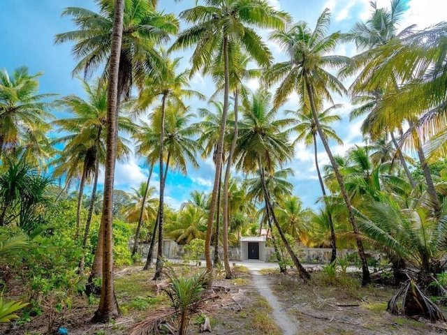 фото отеля Alafehi Retreat изображение №13