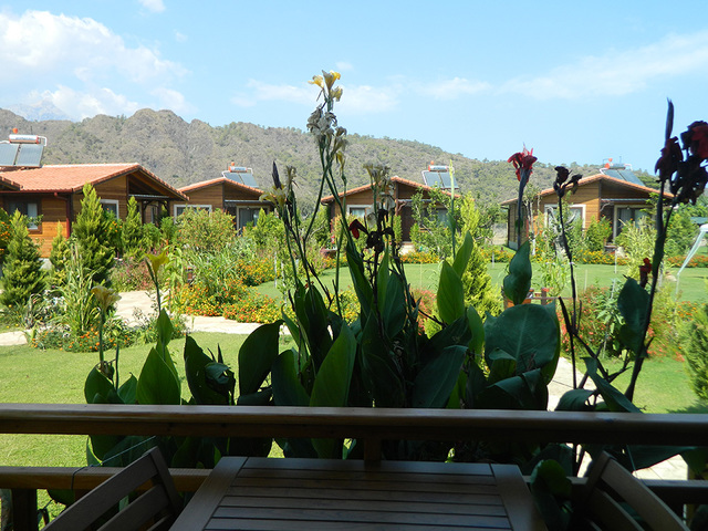 фотографии отеля Dream Ville Park (ex. Ruya Villen Park) изображение №83