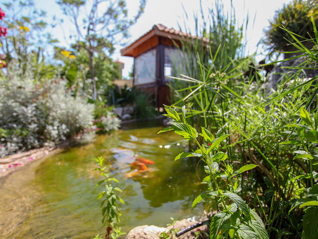 фотографии отеля Dream Ville Park (ex. Ruya Villen Park) изображение №71