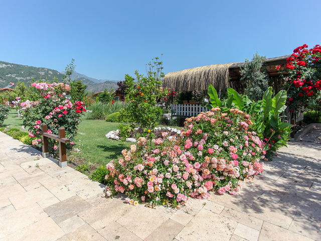 фотографии Dream Ville Park (ex. Ruya Villen Park) изображение №68