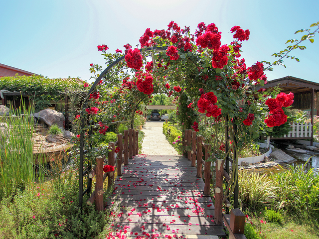 фотографии отеля Dream Ville Park (ex. Ruya Villen Park) изображение №19