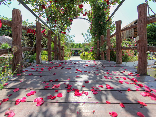 фотографии Dream Ville Park (ex. Ruya Villen Park) изображение №16