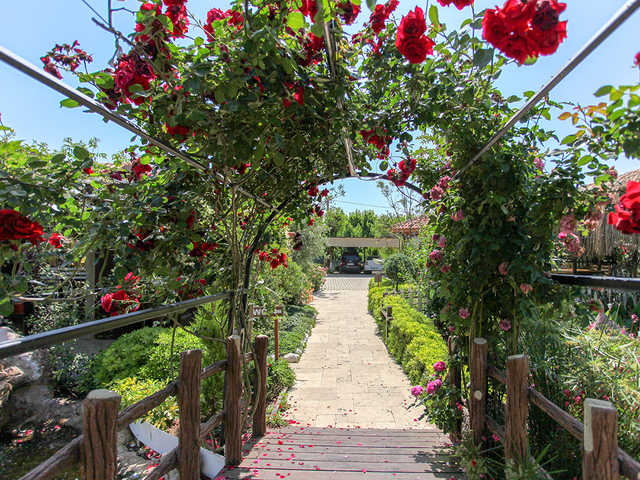 фото Dream Ville Park (ex. Ruya Villen Park) изображение №10