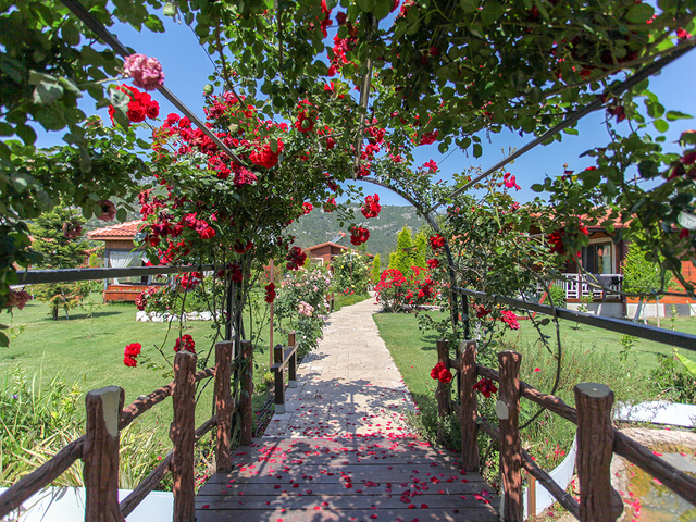 фотографии Dream Ville Park (ex. Ruya Villen Park) изображение №8