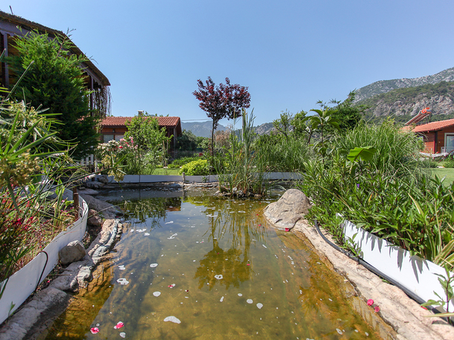 фото Dream Ville Park (ex. Ruya Villen Park) изображение №6