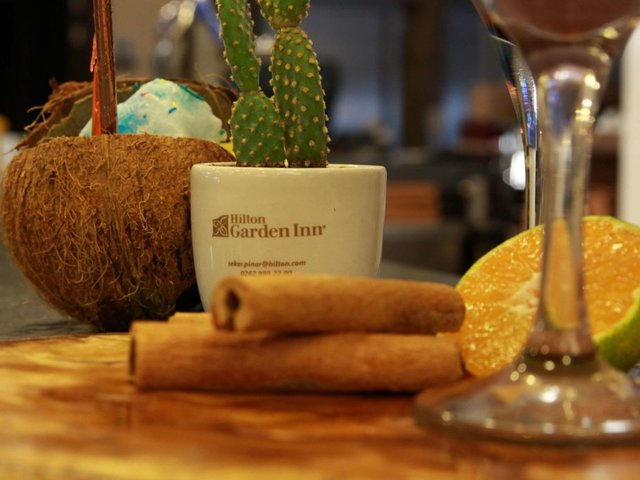 фотографии отеля Hilton Garden Inn Kocaeli Sekerpinar изображение №31