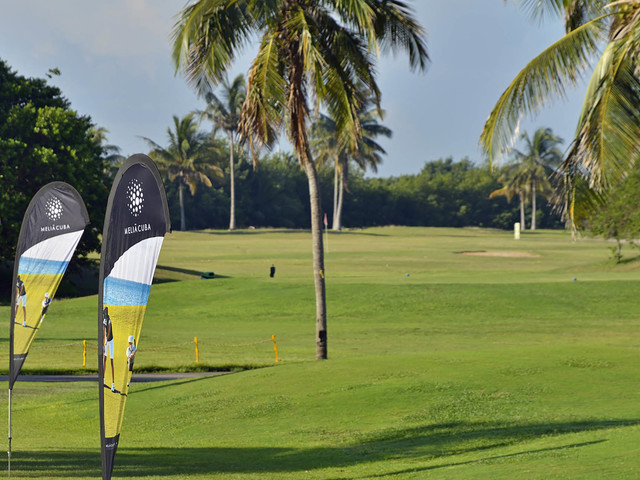 фотографии Melia Internacional изображение №92