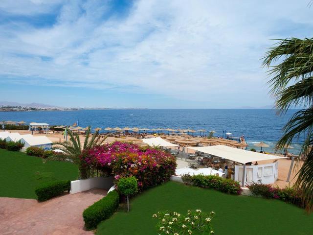 фотографии Amphoras Aqua (ex. Shores Golden Resort; Golden Sharm) изображение №8