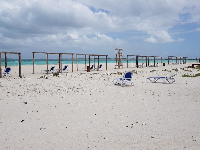 фотографии отеля Starfish Cayo Guillermo (ex. Gran Caribe Club Cayo Guillermo; Allegro Club Cayo Guillermo) изображение №39