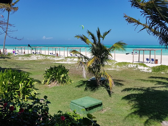 фото Starfish Cayo Guillermo (ex. Gran Caribe Club Cayo Guillermo; Allegro Club Cayo Guillermo) изображение №38