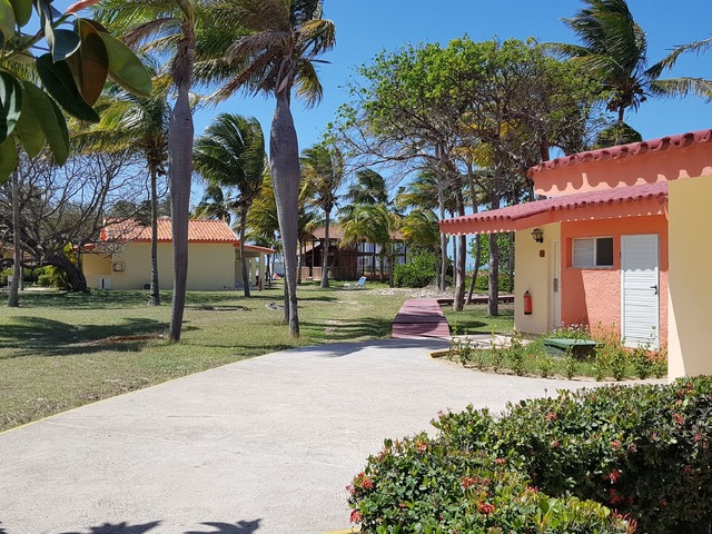 фото Starfish Cayo Guillermo (ex. Gran Caribe Club Cayo Guillermo; Allegro Club Cayo Guillermo) изображение №18