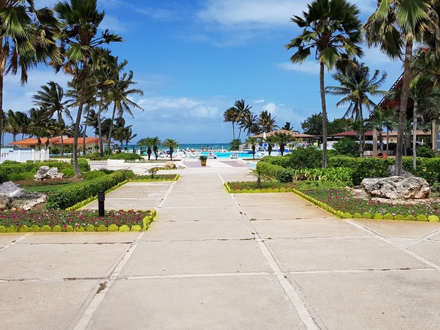 фотографии отеля Starfish Cayo Guillermo (ex. Gran Caribe Club Cayo Guillermo; Allegro Club Cayo Guillermo) изображение №11