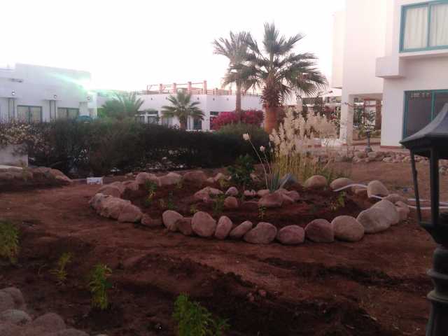 фото New Badawia Sharm Resort (ex. Badawia Resort; All Season Badawia) изображение №6