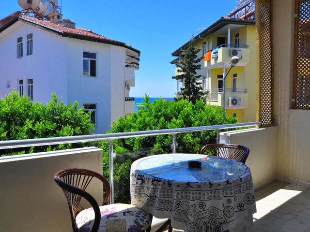 фотографии Delphin изображение №8