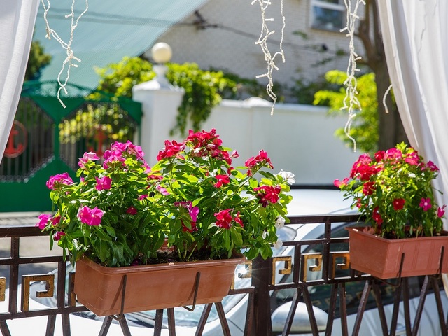 фото отеля Боспор (Bospor) изображение №25