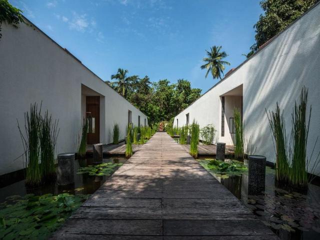 фотографии отеля Alila Diwa Goa изображение №7