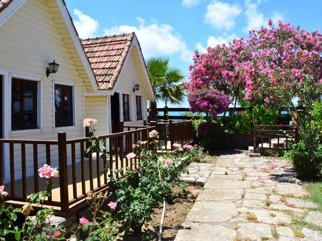 фотографии Clover Magic Nova Beach (ex. Nova Beach) изображение №24