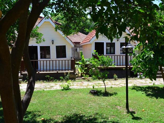 фотографии отеля Clover Magic Nova Beach (ex. Nova Beach) изображение №23